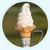 みるくの里特製ソフトクリーム