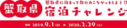 鳥取砂丘コナン空港の魅力