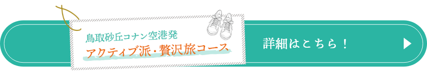 鳥取砂丘コナン空港発アクティブ派・贅沢コース