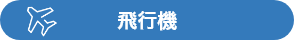 飛行機でお越しの方