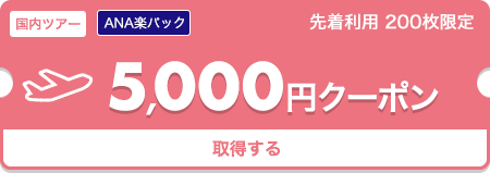 羽田⇔富山5,000円クーポンを獲得する