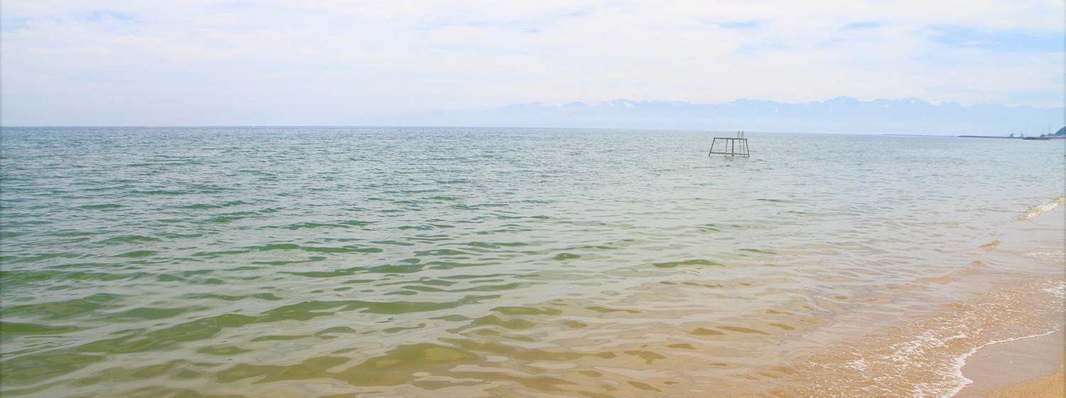 氷見市の近郊 夏の海