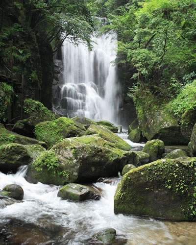 Shingu Wakayama A Tour Of World Heritage Sites And Fine - 