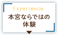 本宮ならではの体験