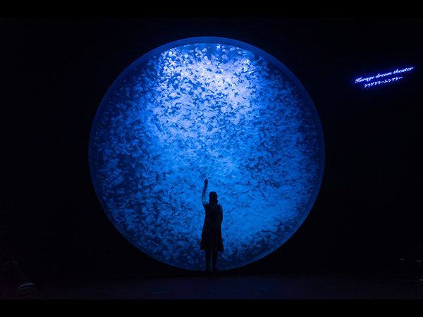 加茂水族館