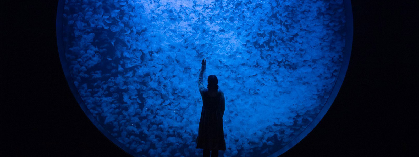 加茂水族館