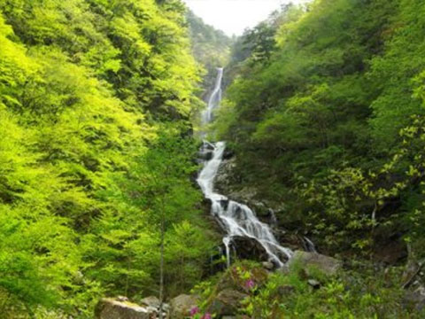 日本の滝100選・精進ヶ滝往復コース