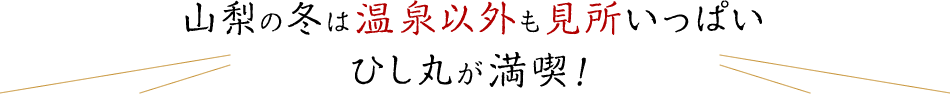 山梨の冬は温泉以外も見所いっぱい ひし丸くんが満喫！