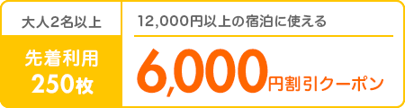 先着利用250枚｜6,000円割引クーポン