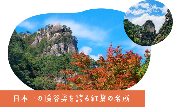 日本一の渓谷美を誇るモミジの名所