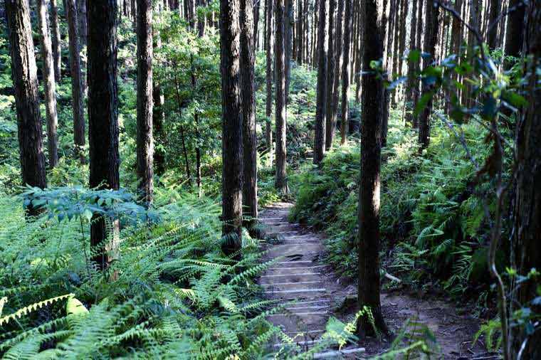 紀伊山地の霊場と参詣道