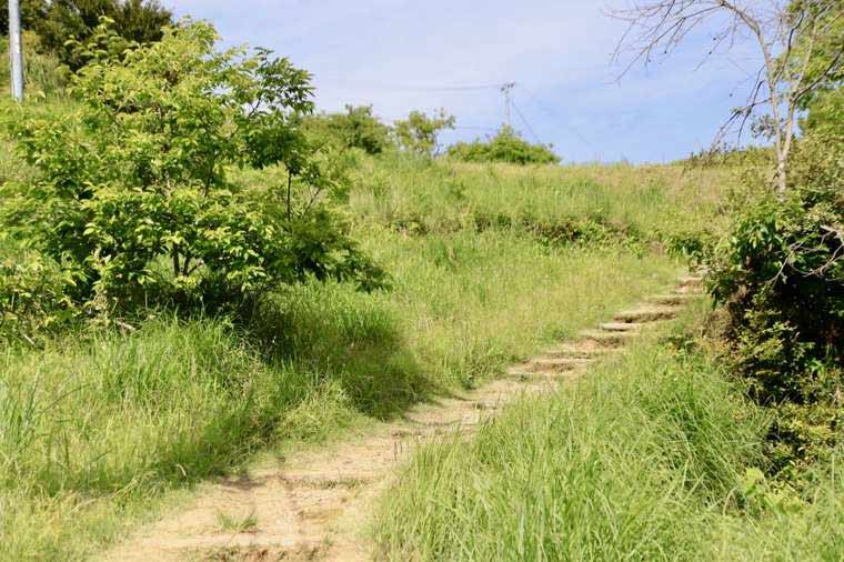 熊野古道