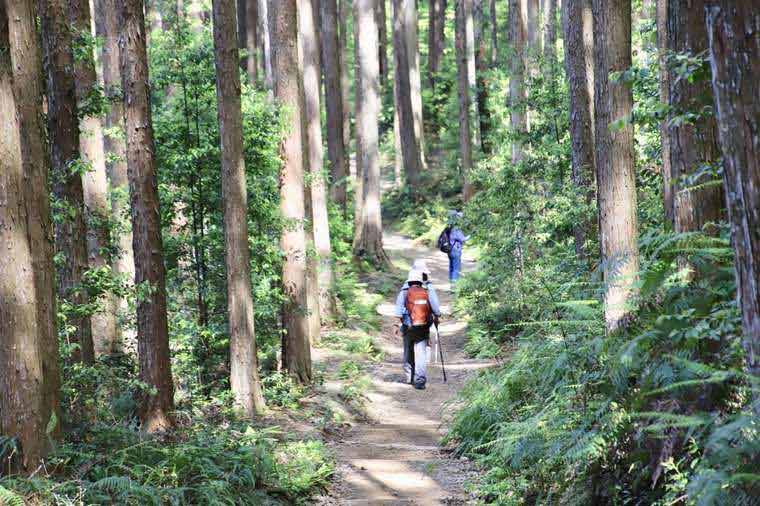 熊野古道でウォーキング