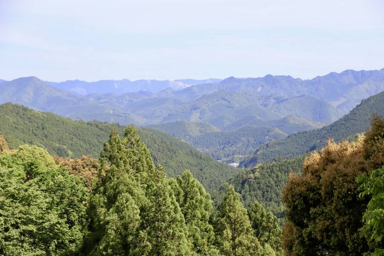 熊野古道の伏拝王子(ふしおがみおうじ)