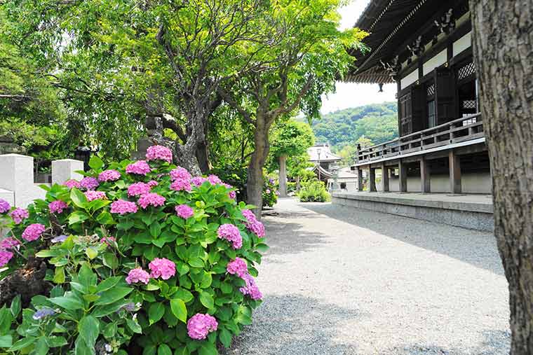 本覚寺