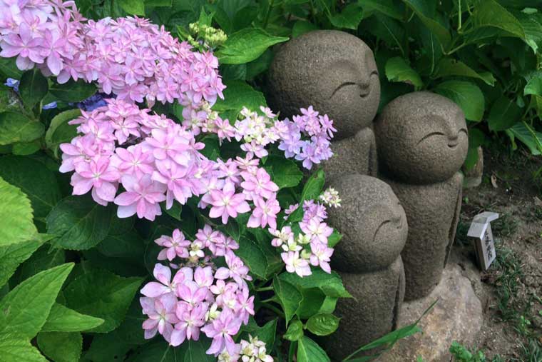 長谷寺