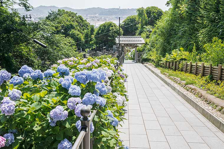 成就院
