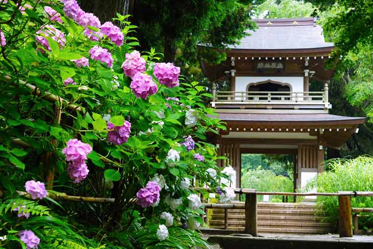 浄智寺