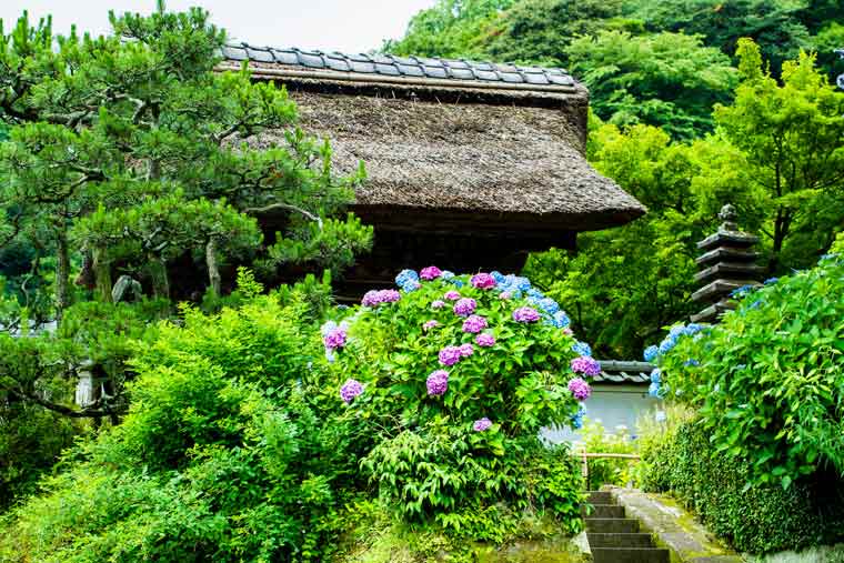 長寿寺