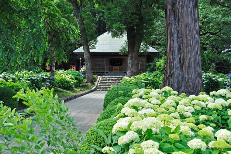 塩船観音寺
