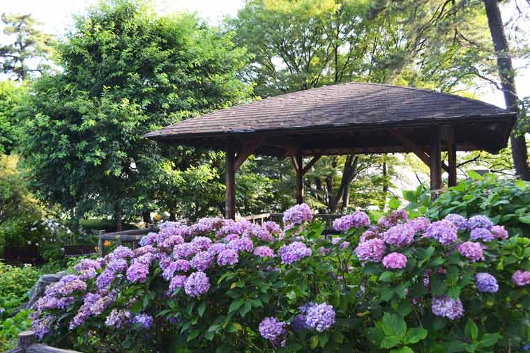 多摩川台公園