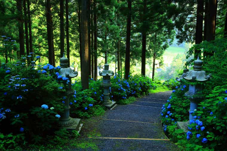 天台寺