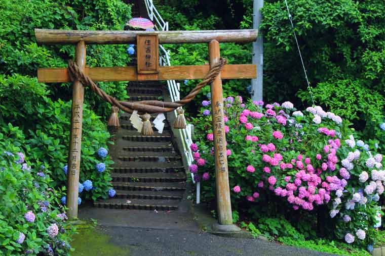住吉自然公園