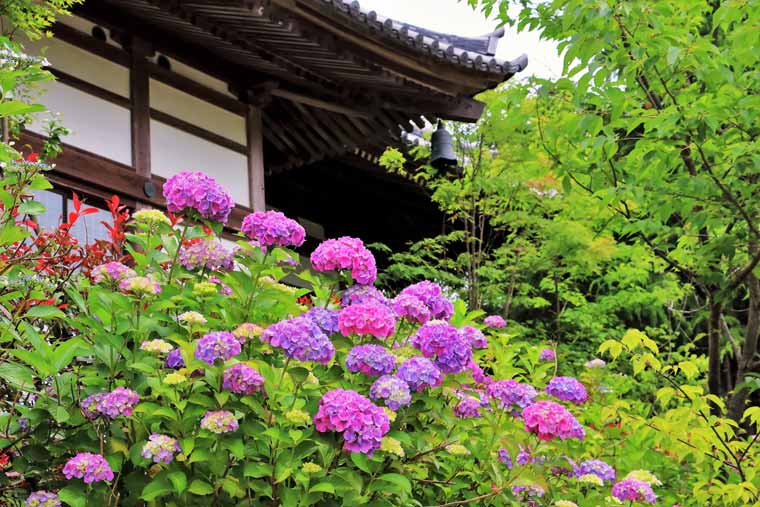 資福寺
