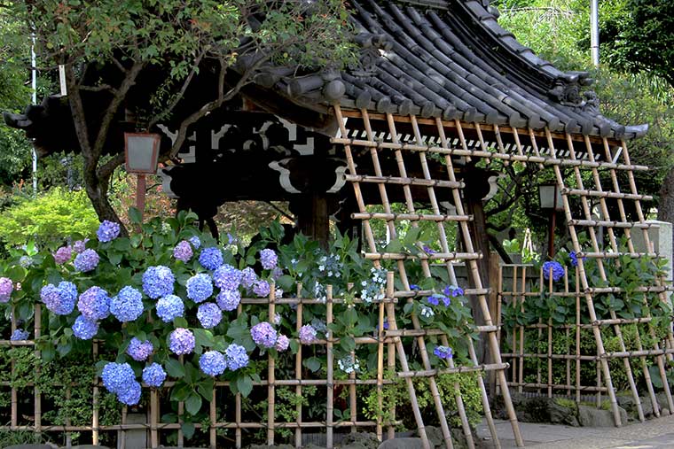 白山神社(はくさんじんじゃ)
