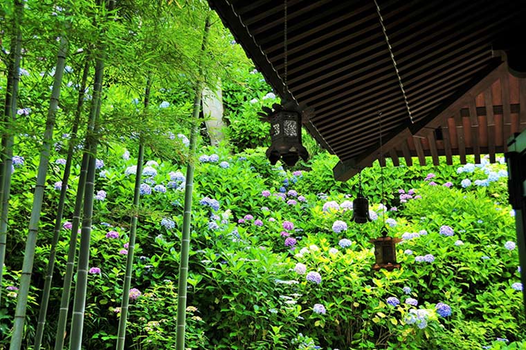 長谷寺