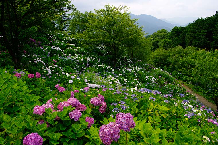 うつぶな公園