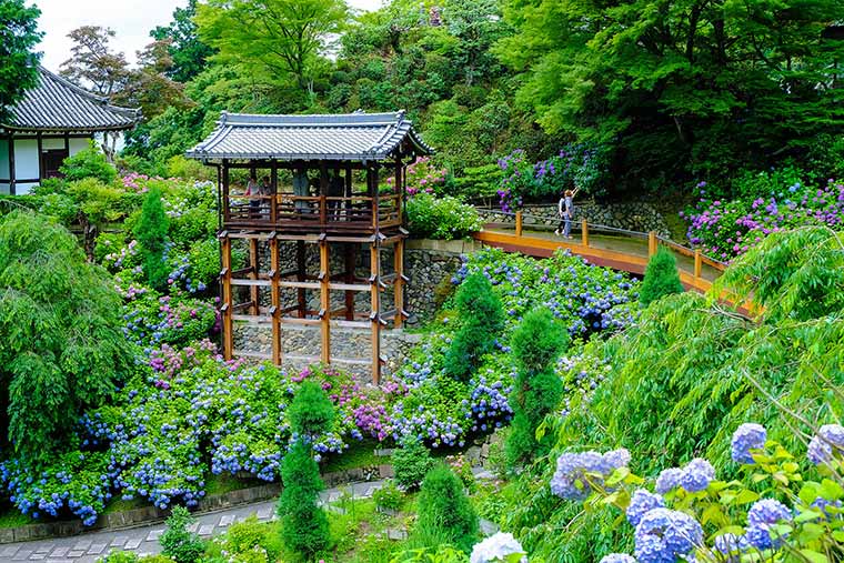 善峰寺(よしみねでら)