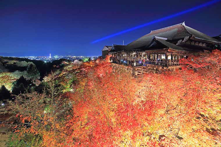 清水寺の紅葉ライトアップ
