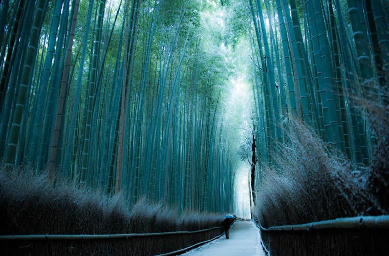 雅な風景を堪能する旅へ 京都の絶景スポット15選 楽天トラベル
