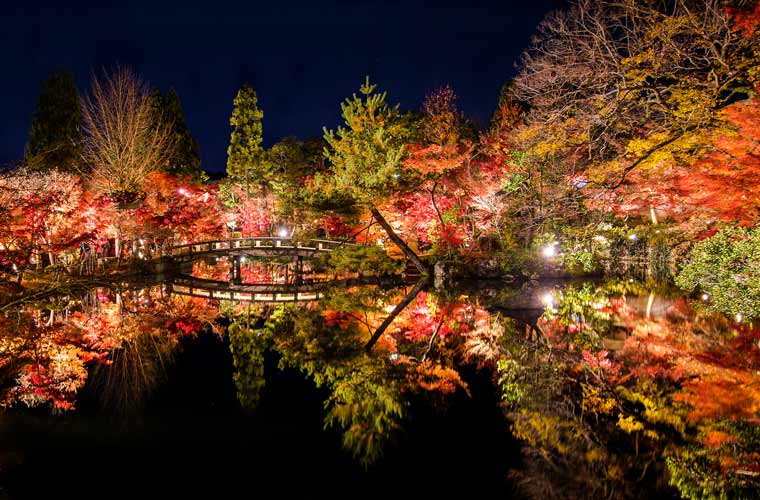 雅な風景を堪能する旅へ 京都の絶景スポット15選 楽天トラベル