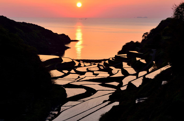 浜野浦の棚田