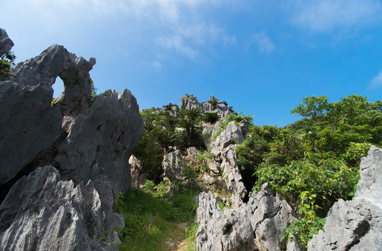 大石林山