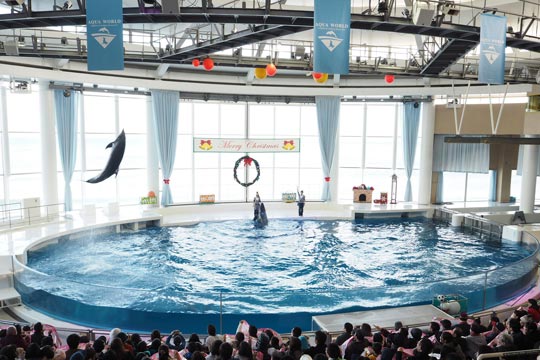 東京 関東の水族館12選 夜のデートや子供におすすめも 楽天トラベル