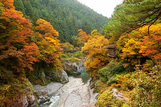 鳩ノ巣渓谷(はとのすけいこく)