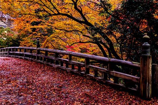 鶴仙渓(かくせんけい)