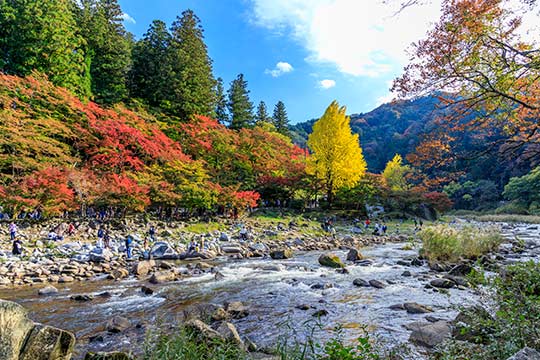 香嵐渓(こうらんけい)