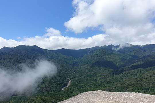 白谷雲水峡(屋久島)