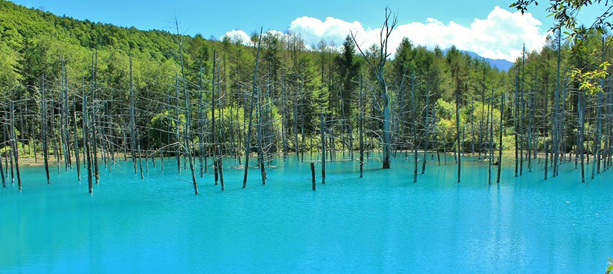 青い池(北海道)