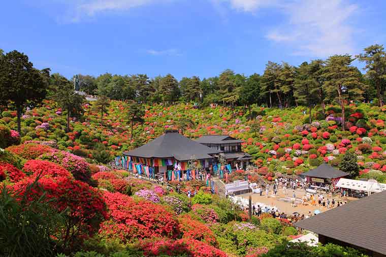 塩船観音寺
