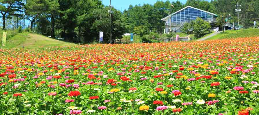 富士見高原リゾート 花の里