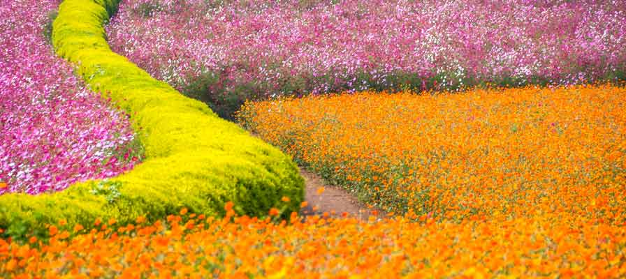 花の駅 生駒高原