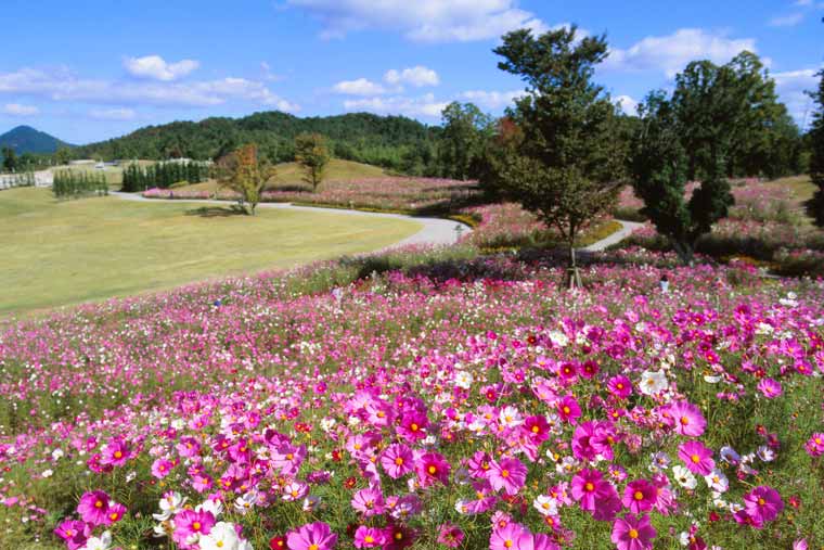 国営讃岐まんのう公園