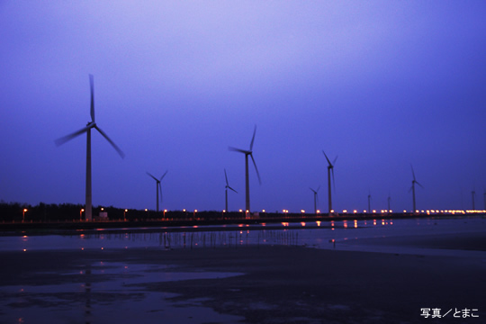 高美湿地(台湾)