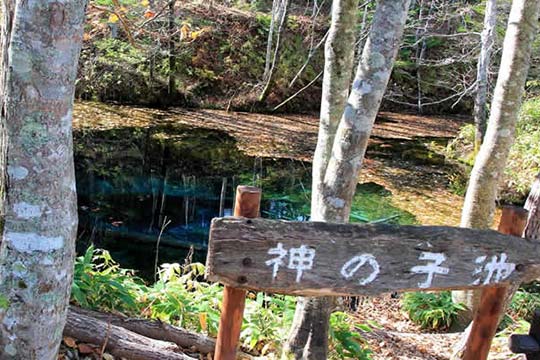 神の子池(かみのこいけ)