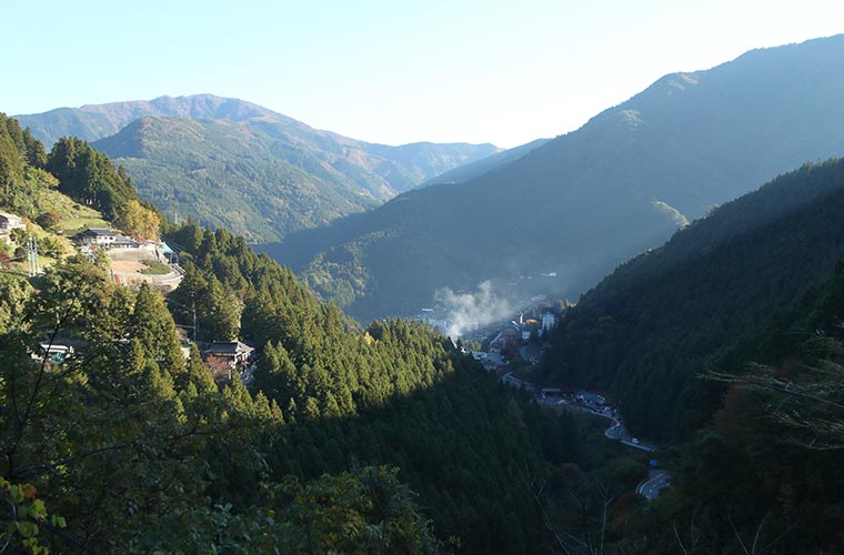 徳島県三好市に広がる祖谷渓(いやけい)